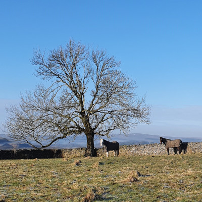 The Folly, Wormhill Luxury in the Heart of the Peak District